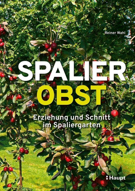 Spalierobst: Erziehung und Schnitt im Spaliergarten