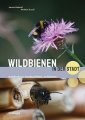 Wildbienen in der Stadt: entdecken, beobachten, schützen
