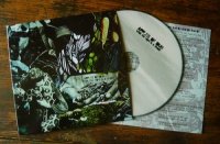 while the night is a shade