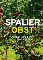 Spalierobst: Erziehung und Schnitt im Spaliergarten