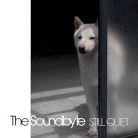 Still Quiet